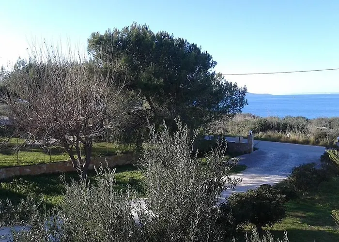 公寓 Stelios - Zante Seaview Nests